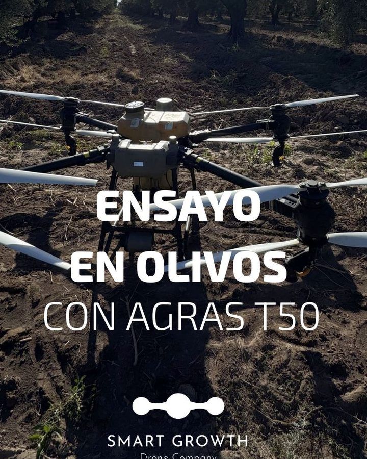 Dron agrícola DJI Agras T50 en un olivar