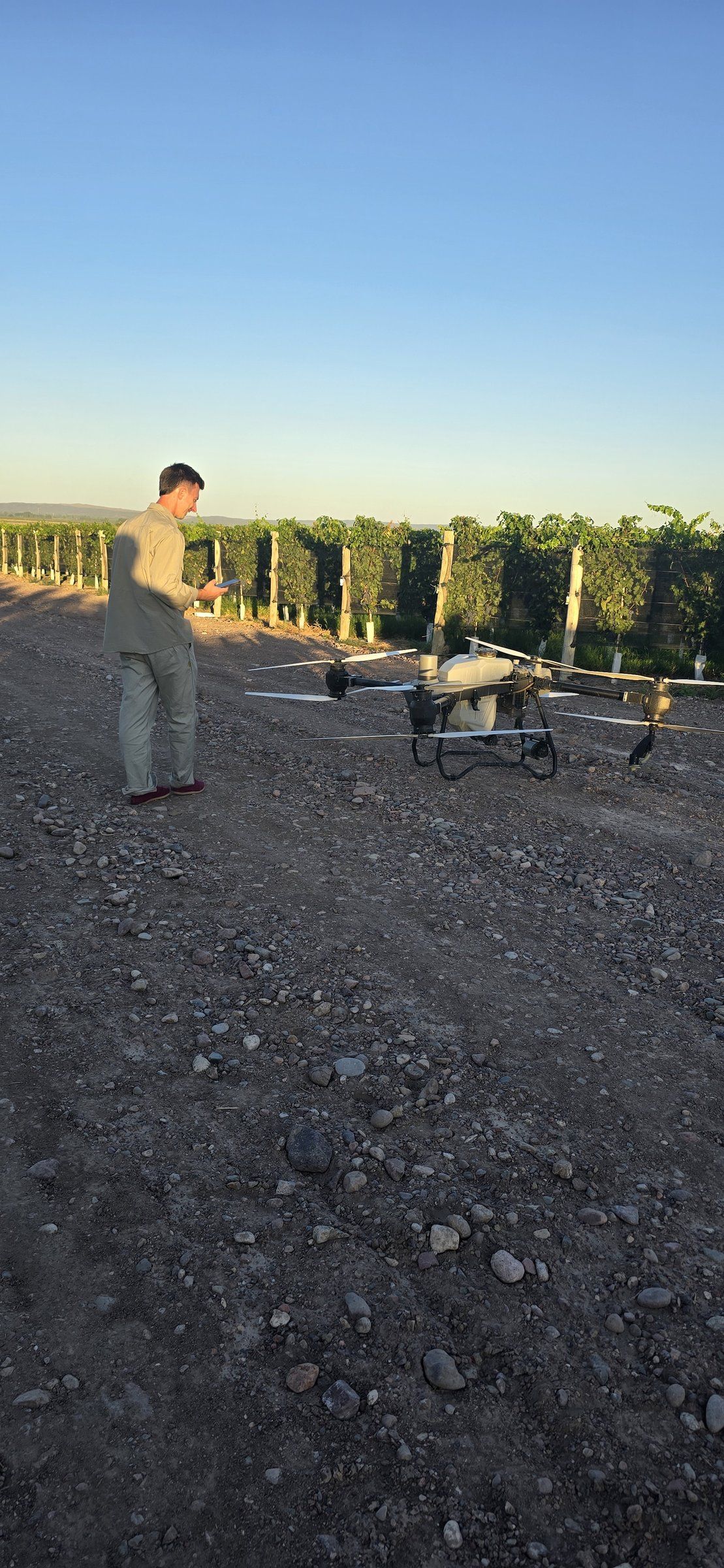Piloto junto a un dron agrícola en la cabecera de un viñedo al atardecer